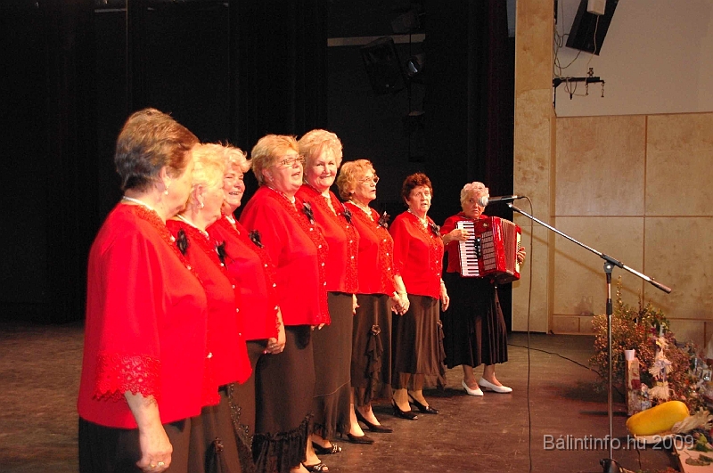 szuretibal_2009_140.jpg