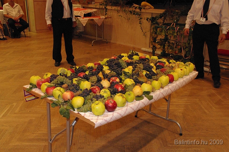 szuretibal_2009_188.jpg
