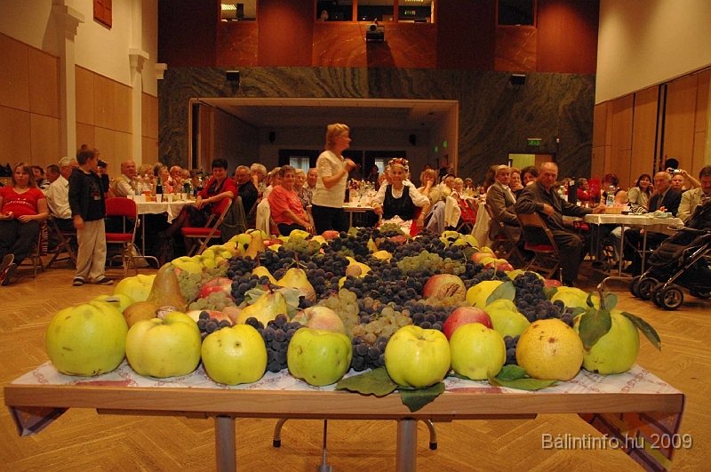 szuretibal_2009_189.jpg