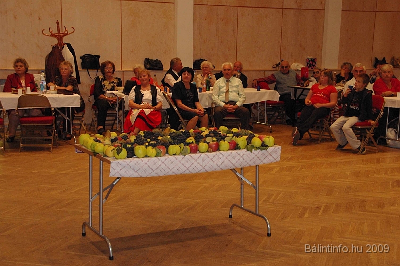 szuretibal_2009_190.jpg