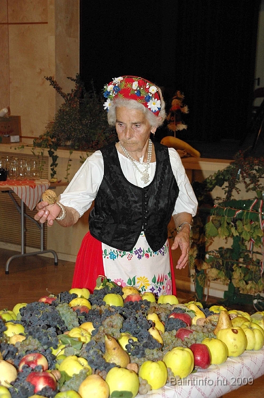 szuretibal_2009_194.jpg