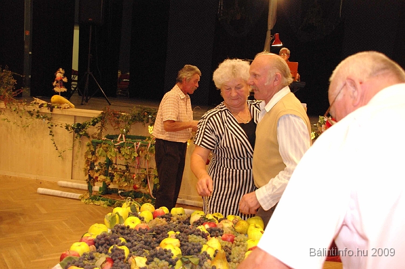 szuretibal_2009_208.jpg