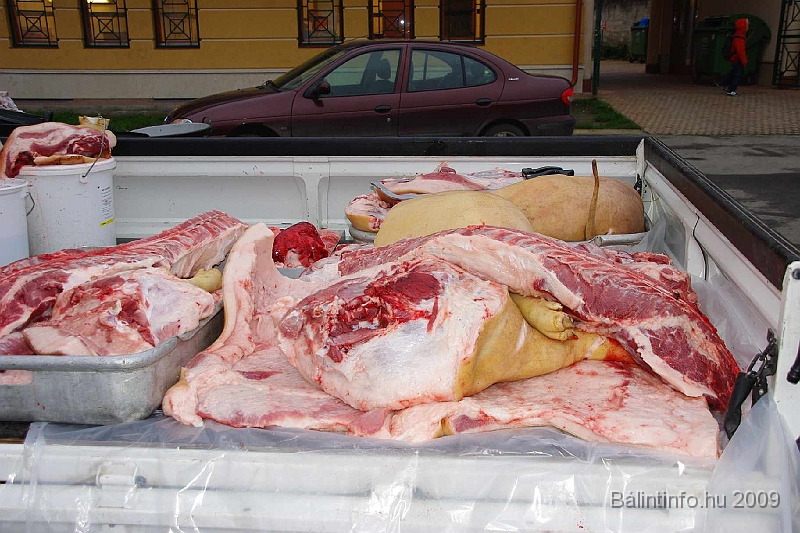 disznovagas_2009_0015.jpg
