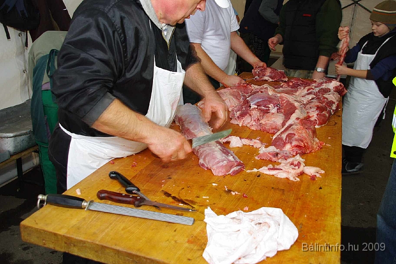 disznovagas_2009_0050.jpg