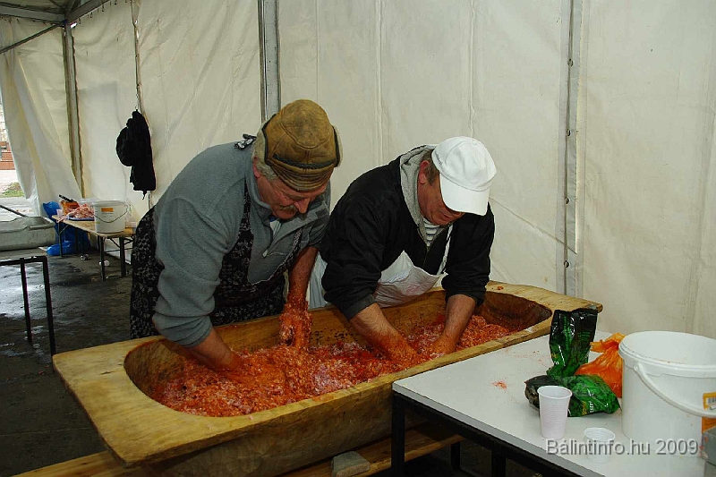 disznovagas_2009_0083.jpg