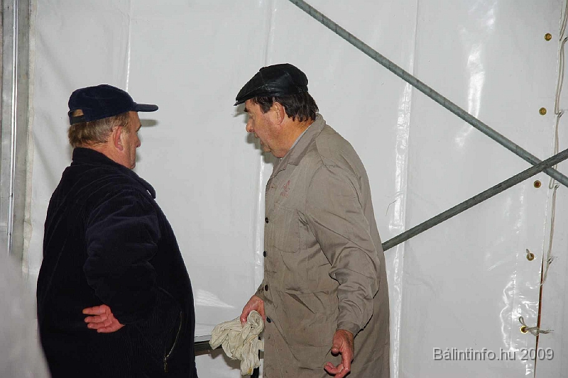 disznovagas_2009_0120.jpg