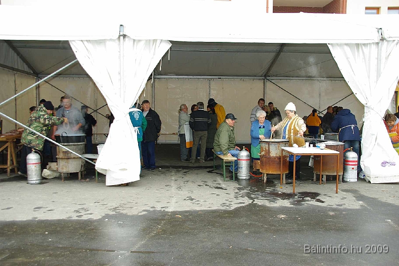disznovagas_2009_0126.jpg