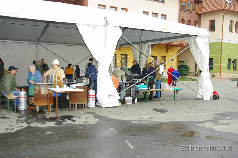disznovagas_2009_0127.jpg