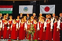 japan-magyar_est_2009.11.22.031