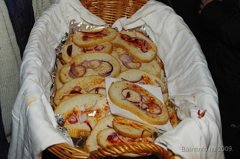 torokbalint_lapasfelvonulas_2009_066.jpg