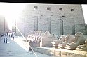utazok_klubja_egyiptom_058